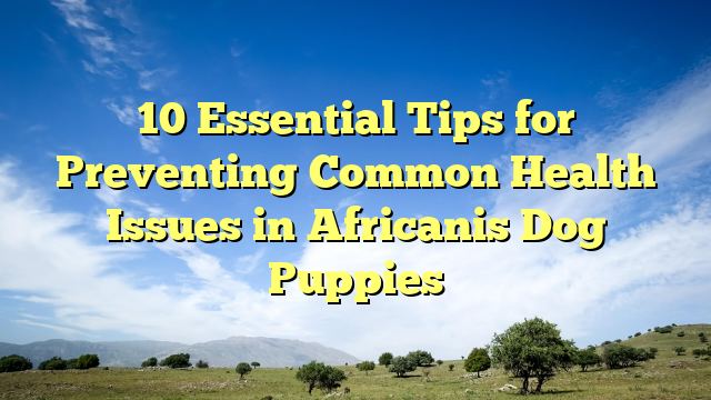 10 Important Suggestions for Stopping Widespread Well being Points in Africanis Canine Puppies