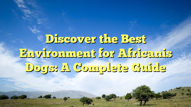 Uncover the Greatest Atmosphere for Africanis Canine: A Full Information