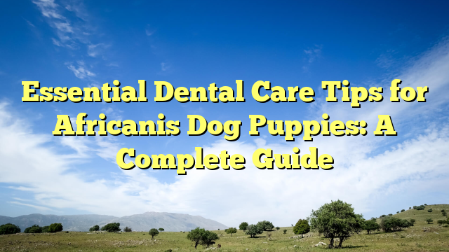 Important Dental Care Suggestions for Africanis Canine Puppies: A Full Information