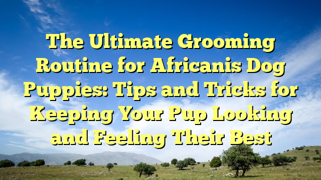 The Final Grooming Routine for Africanis Canine Puppies: Ideas and Methods for Preserving Your Pup Wanting and Feeling Their Finest