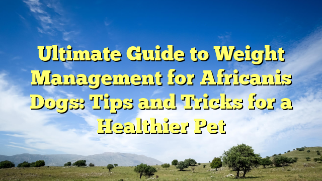 Final Information to Weight Administration for Africanis Canine: Suggestions and Methods for a More healthy Pet