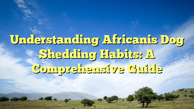Understanding Africanis Canine Shedding Habits: A Complete Information